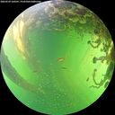 ./images/calvert/underwater/20260529/underwater20260529_160501M.jpg