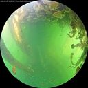 ./images/calvert/underwater/20260529/underwater20260529_162502M.jpg