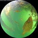 ./images/calvert/underwater/20260529/underwater20260529_164002M.jpg