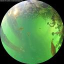 ./images/calvert/underwater/20260529/underwater20260529_164501M.jpg