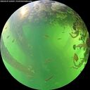 ./images/calvert/underwater/20260529/underwater20260529_165001M.jpg
