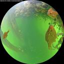 ./images/calvert/underwater/20260529/underwater20260529_172002M.jpg