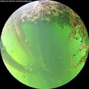 ./images/calvert/underwater/20260529/underwater20260529_181501M.jpg