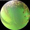 ./images/calvert/underwater/20260529/underwater20260529_185002M.jpg