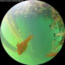 ./images/calvert/underwater/20260529/underwater20260529_191001M.jpg