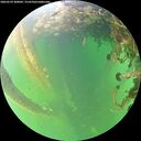 ./images/calvert/underwater/20260529/underwater20260529_200002M.jpg