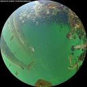 ./images/calvert/underwater/20260529/underwater20260529_210001M.jpg