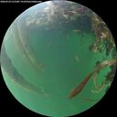 ./images/calvert/underwater/20260529/underwater20260529_212501M.jpg