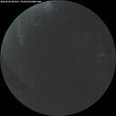 ./images/calvert/underwater/20260530/underwater20260530_043501M.jpg