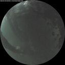 ./images/calvert/underwater/20260530/underwater20260530_045001M.jpg