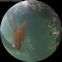 ./images/calvert/underwater/20260530/underwater20260530_051501M.jpg