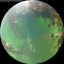 ./images/calvert/underwater/20260530/underwater20260530_061001M.jpg