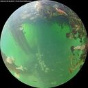 ./images/calvert/underwater/20260530/underwater20260530_062001M.jpg