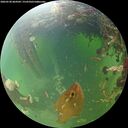 ./images/calvert/underwater/20260530/underwater20260530_064502M.jpg