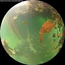 ./images/calvert/underwater/20260530/underwater20260530_072502M.jpg