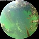 ./images/calvert/underwater/20260530/underwater20260530_074001M.jpg