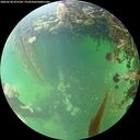 ./images/calvert/underwater/20260530/underwater20260530_075501M.jpg