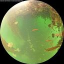 ./images/calvert/underwater/20260530/underwater20260530_090501M.jpg