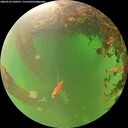 ./images/calvert/underwater/20260530/underwater20260530_100501M.jpg