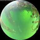 ./images/calvert/underwater/20260530/underwater20260530_111001M.jpg