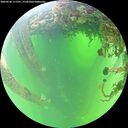 ./images/calvert/underwater/20260530/underwater20260530_111501M.jpg