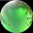 ./images/calvert/underwater/20260530/underwater20260530_115001M.jpg