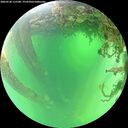./images/calvert/underwater/20260530/underwater20260530_115501M.jpg