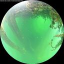 ./images/calvert/underwater/20260530/underwater20260530_121001M.jpg