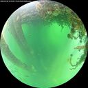 ./images/calvert/underwater/20260530/underwater20260530_121501M.jpg