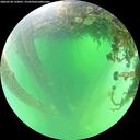 ./images/calvert/underwater/20260530/underwater20260530_122001M.jpg