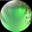 ./images/calvert/underwater/20260530/underwater20260530_122501M.jpg