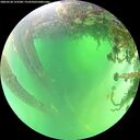 ./images/calvert/underwater/20260530/underwater20260530_123501M.jpg