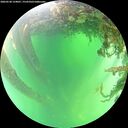 ./images/calvert/underwater/20260530/underwater20260530_124001M.jpg