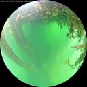./images/calvert/underwater/20260530/underwater20260530_124501M.jpg