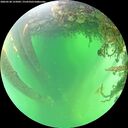 ./images/calvert/underwater/20260530/underwater20260530_125001M.jpg