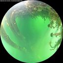 ./images/calvert/underwater/20260530/underwater20260530_125501M.jpg