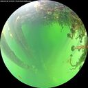./images/calvert/underwater/20260530/underwater20260530_131501M.jpg