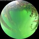 ./images/calvert/underwater/20260530/underwater20260530_134501M.jpg