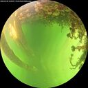 ./images/calvert/underwater/20260530/underwater20260530_144501M.jpg