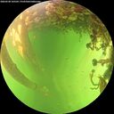 ./images/calvert/underwater/20260530/underwater20260530_145501M.jpg