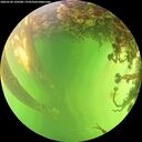 ./images/calvert/underwater/20260530/underwater20260530_150501M.jpg
