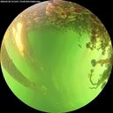./images/calvert/underwater/20260530/underwater20260530_151501M.jpg