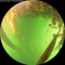 ./images/calvert/underwater/20260530/underwater20260530_154001M.jpg