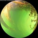 ./images/calvert/underwater/20260530/underwater20260530_155001M.jpg