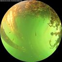 ./images/calvert/underwater/20260530/underwater20260530_155501M.jpg