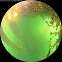 ./images/calvert/underwater/20260530/underwater20260530_164502M.jpg