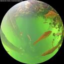 ./images/calvert/underwater/20260530/underwater20260530_173501M.jpg