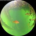 ./images/calvert/underwater/20260530/underwater20260530_175001M.jpg