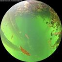 ./images/calvert/underwater/20260530/underwater20260530_175501M.jpg
