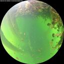 ./images/calvert/underwater/20260530/underwater20260530_180002M.jpg